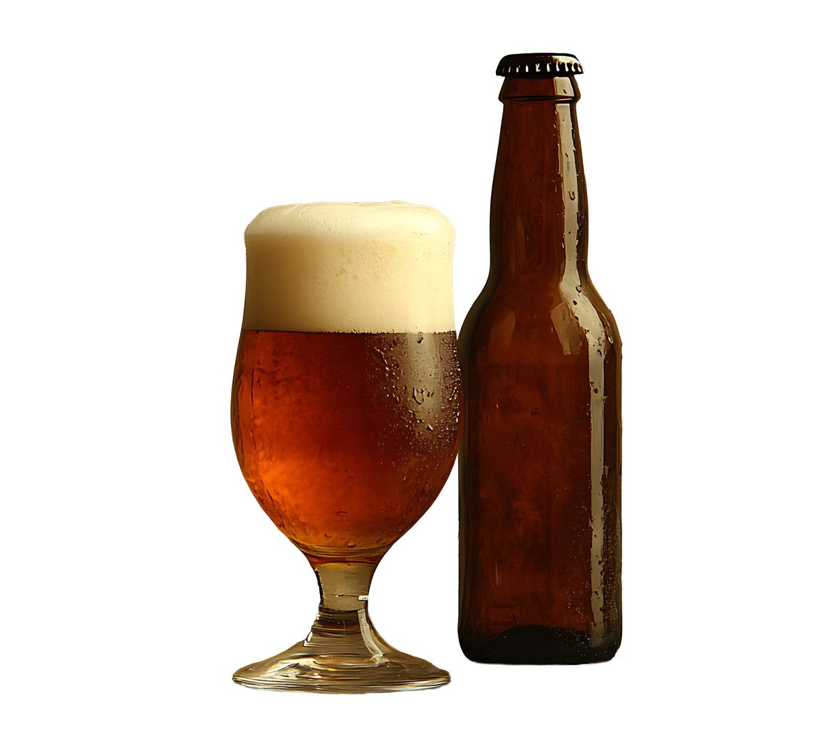 FavBottle IPA